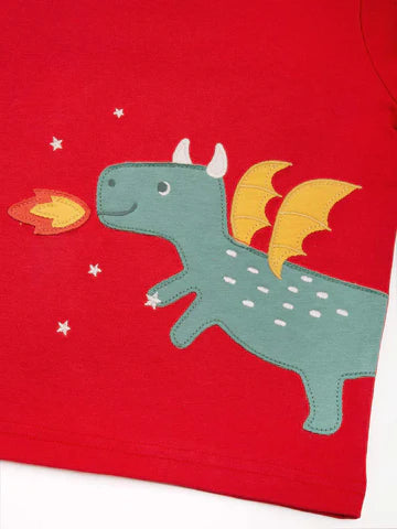 Little dragon t-shirt
