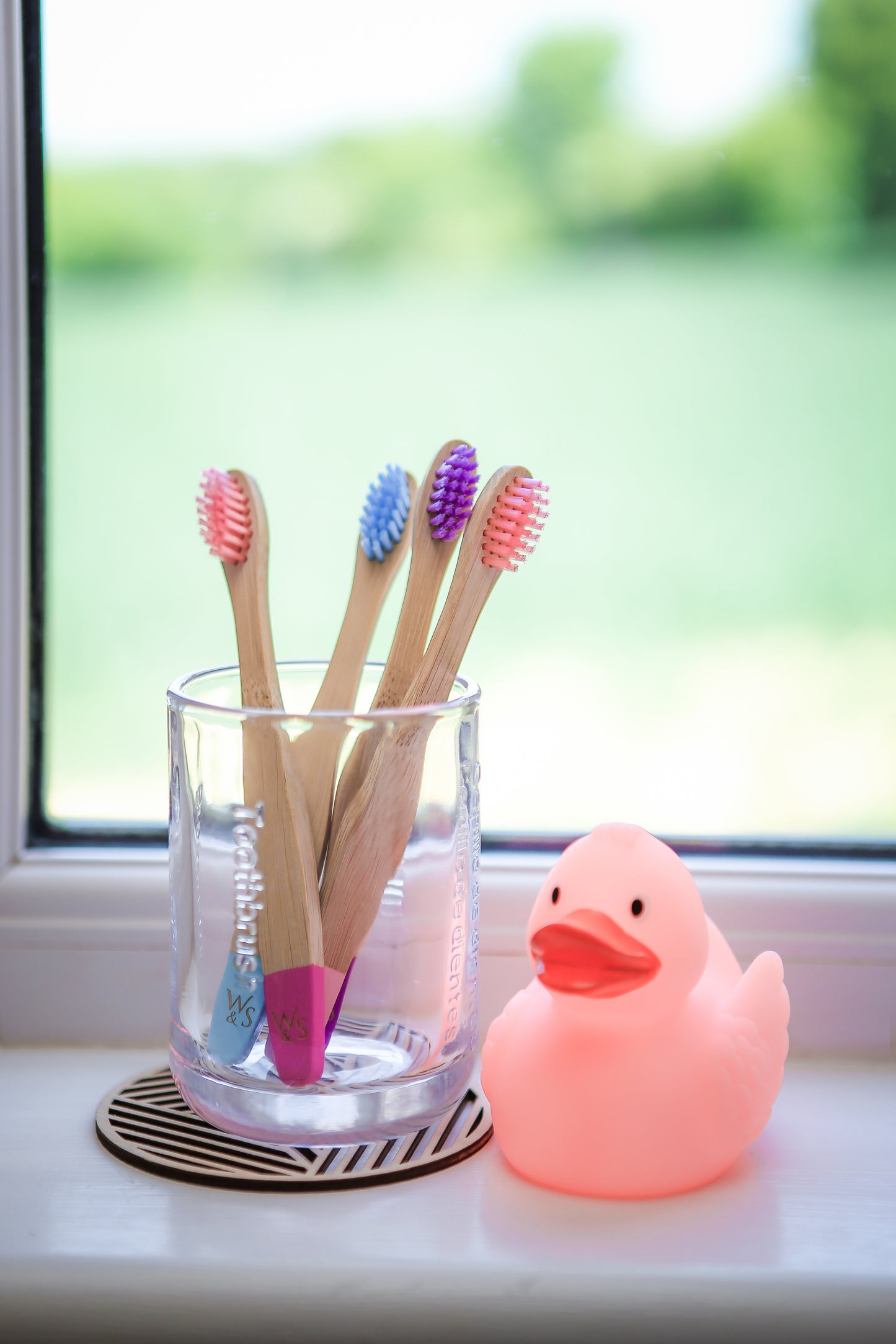 Baby Bamboo Toothbrush - 4 Pack