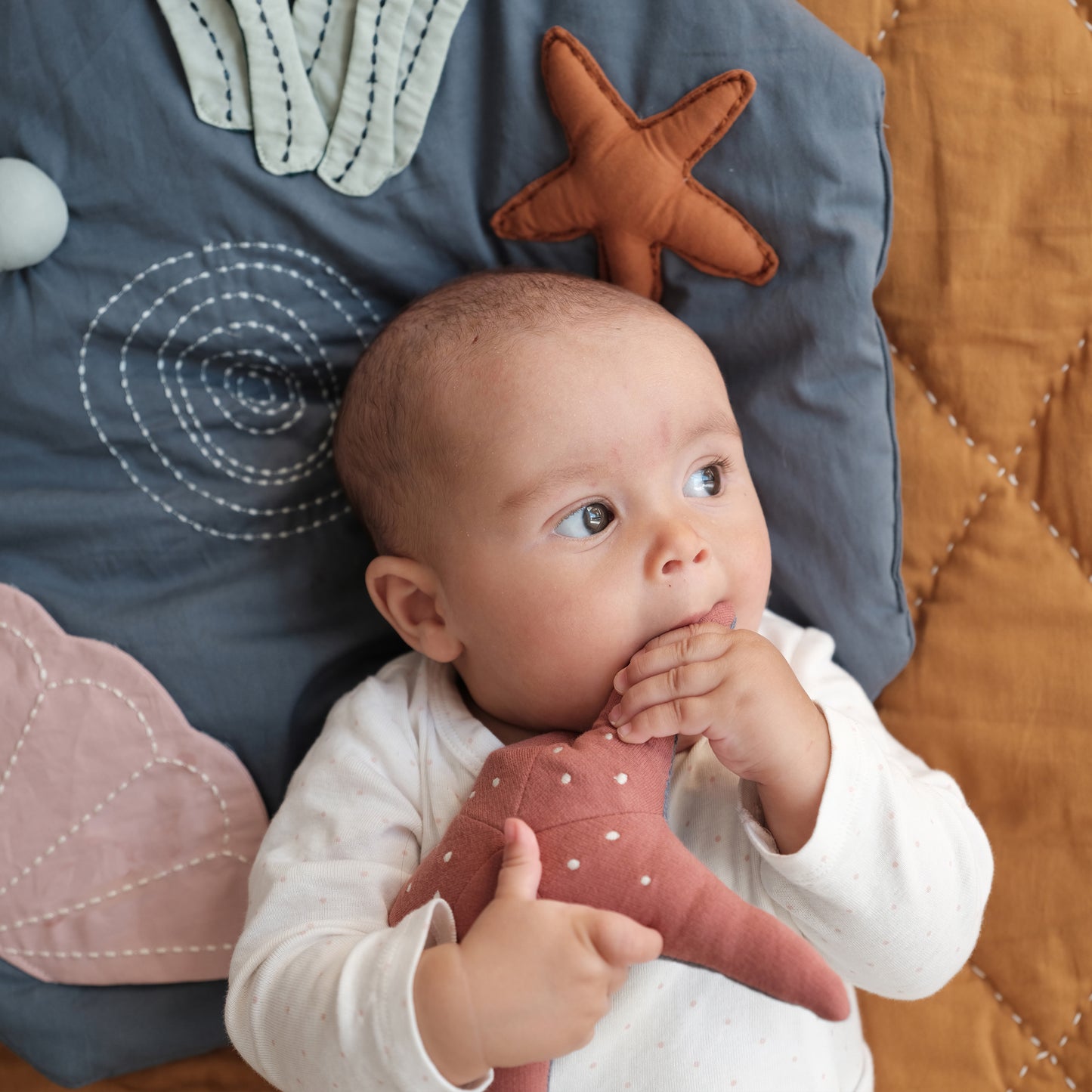 Soft Starfish Rattle