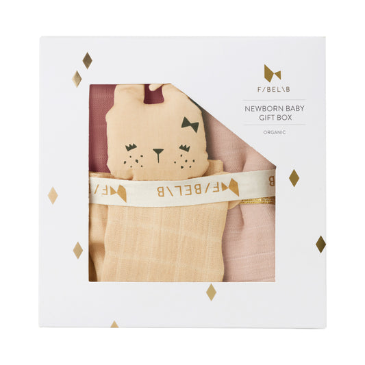 Newborn Baby Gift Box