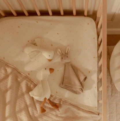Little Dutch New Born Knitted Gift Set
