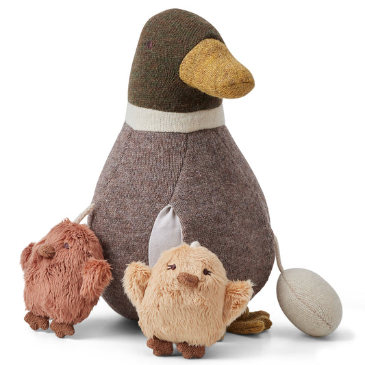 Activity Balance Duck