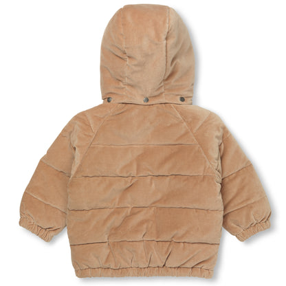 Andray Jacket