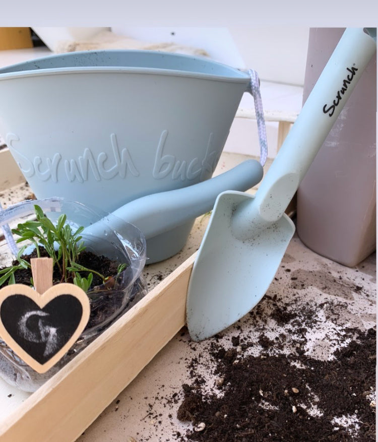 Scrunch Spade